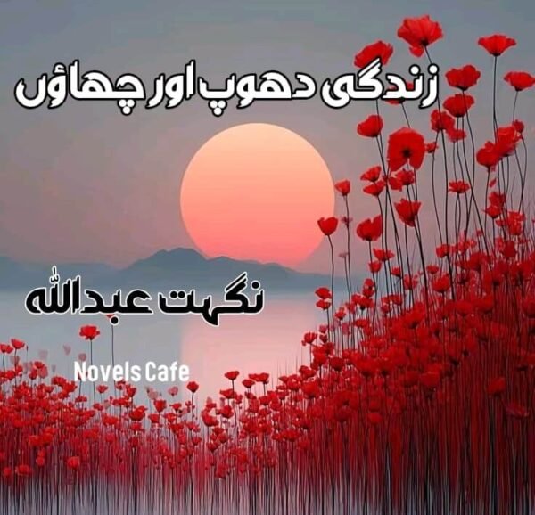 Zindagi dhoop aur chaon by Nighat Abdullah
