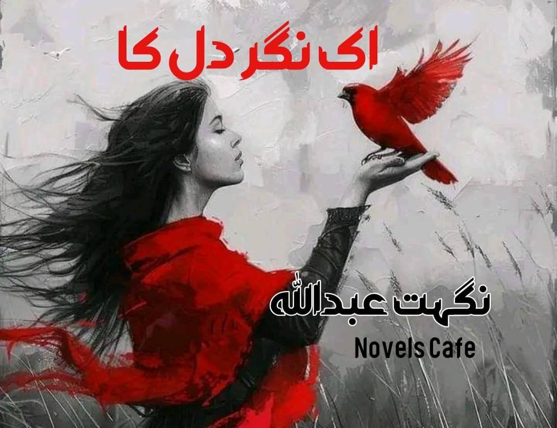 Ek Nagar Dil ka by Nighat Abdullah