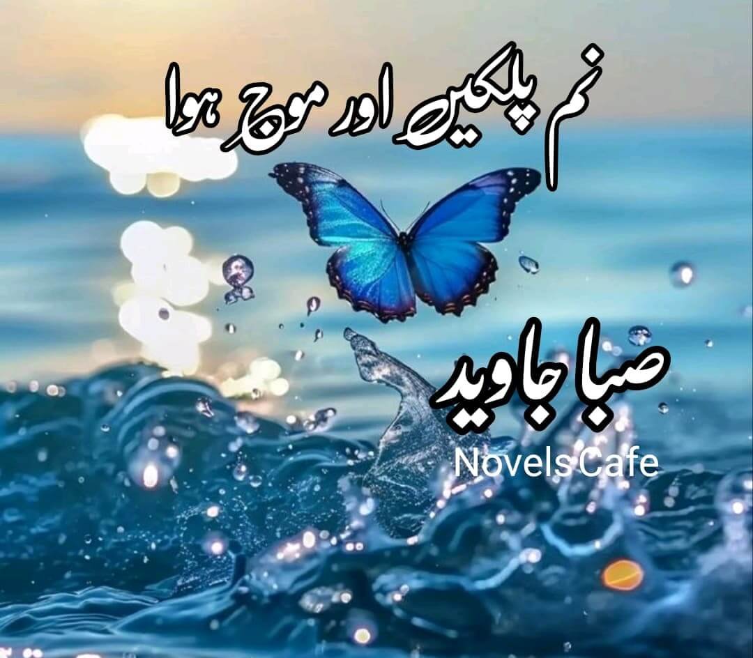Num Palken Aur Moj e Hawa by Saba Javed