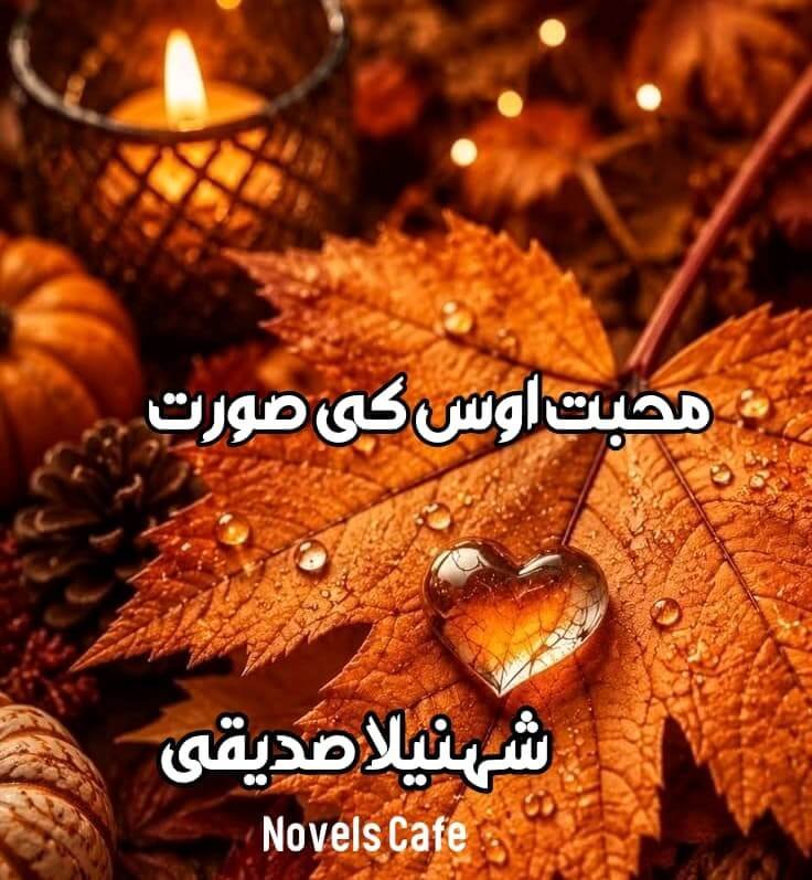 Mohabbat Oas Ki Soorat by Shehnila Siddiqui