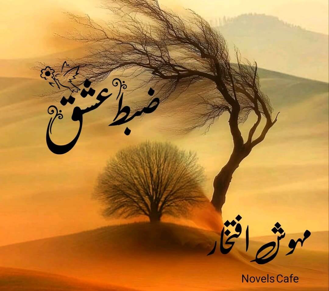 Zabt E Ishq by Mehwish Iftikhar